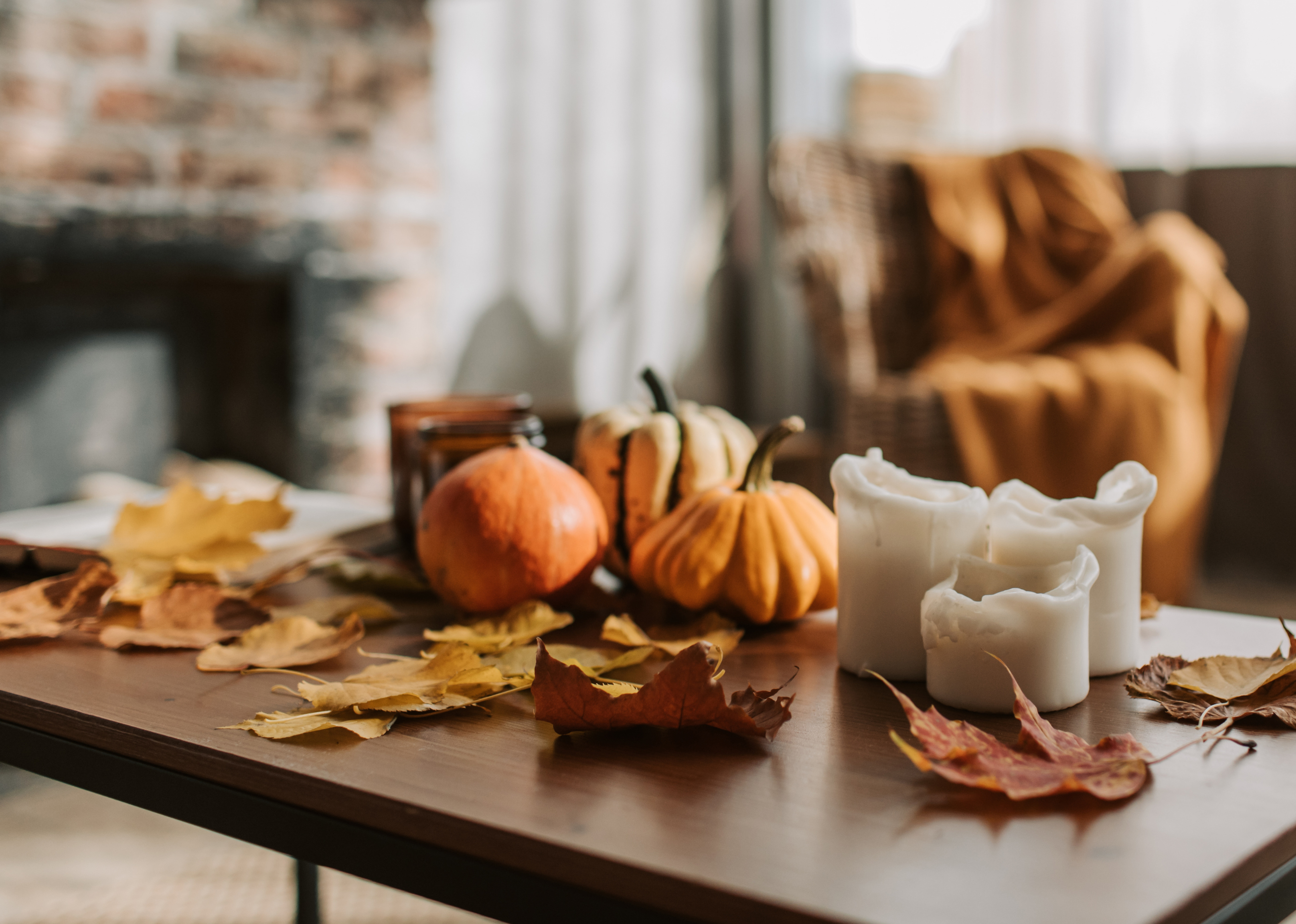 Thanksgiving in Bozeman 2025: A Local’s Guide to the Best Activities